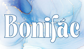 Mega menu image