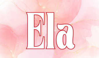 Mega menu image