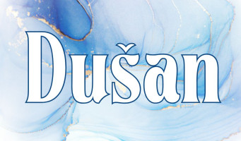 Mega menu image