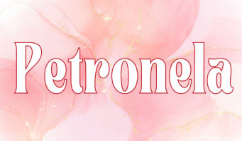 Mega menu image