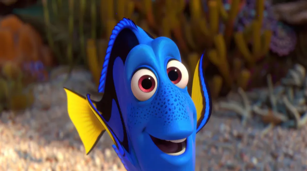 Dory
